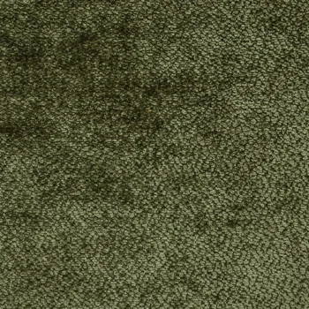 12 Olive